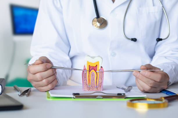 Best Emergency Root Canal Treatment in Licking, MO